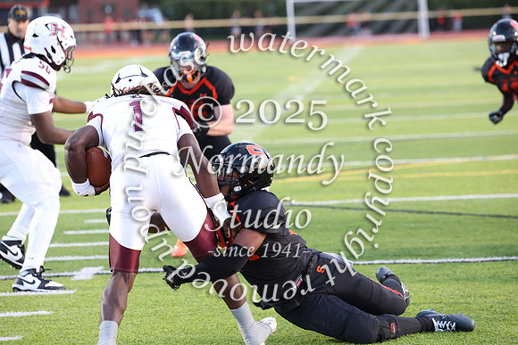 SVL_fb_056