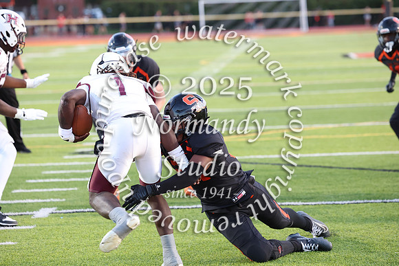 SVL_fb_055