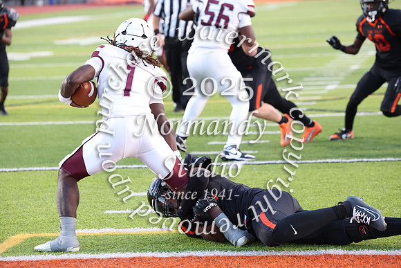 SVL_fb_057