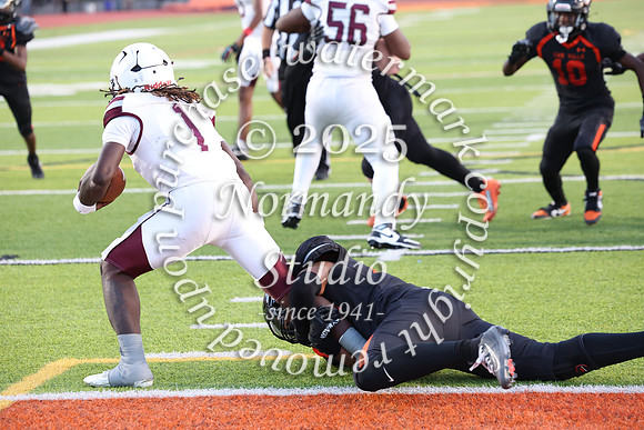 SVL_fb_058