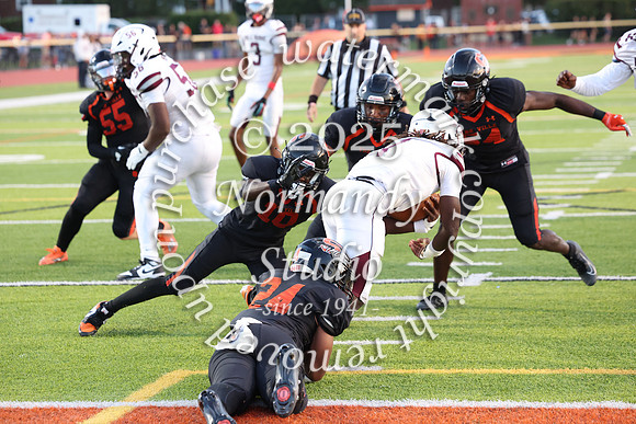 SVL_fb_059