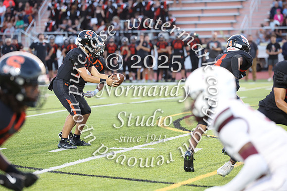 SVL_fb_071
