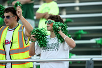 RAM_fans_12