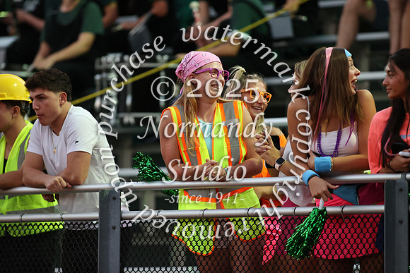 RAM_fans_38