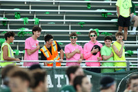 RAM_fans_01