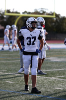 SHP_fb-f_09