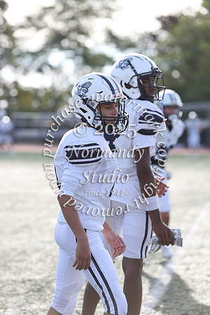 SHP_fb-f_13