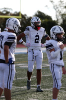 SHP_fb-f_12