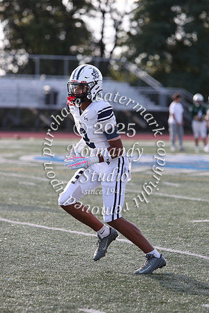 SHP_fb-f_20