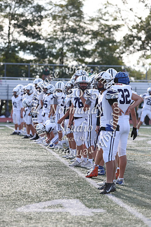 SHP_fb-f_35