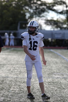 SHP_fb-f_01