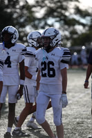 SHP_fb-f_03