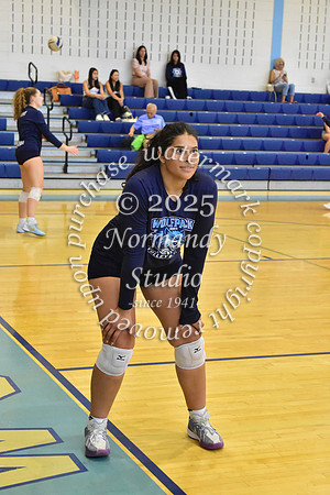 WMC_vb-g_15