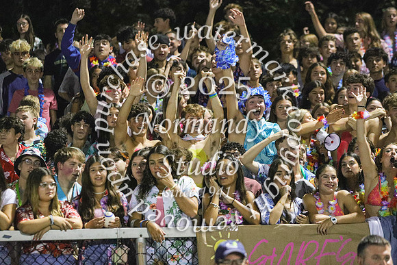 ALJ_fans_11