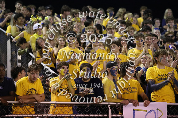 DVH_fans_05
