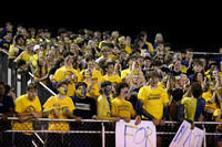DVH_fans_04