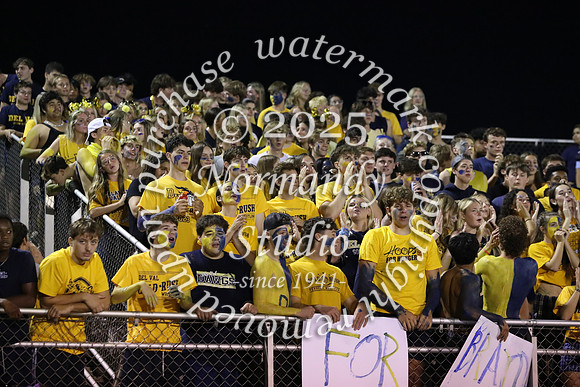 DVH_fans_04