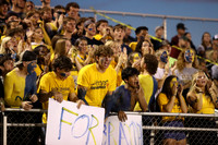 DVH_fans_01