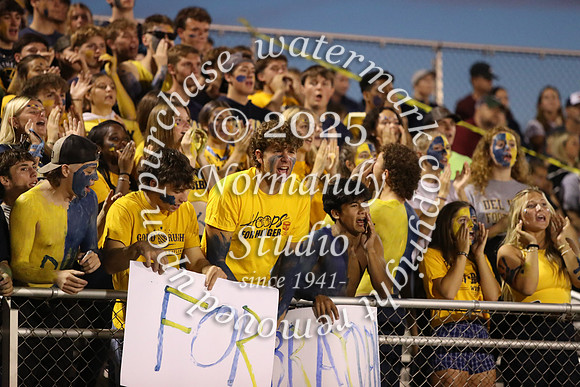 DVH_fans_01