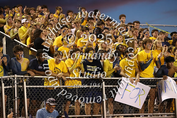 DVH_fans_03