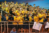 DVH_fans_02