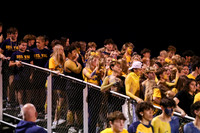 DVH_fans_06