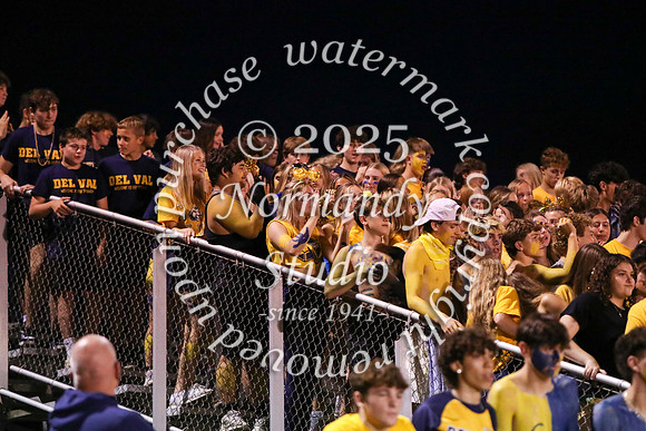 DVH_fans_06
