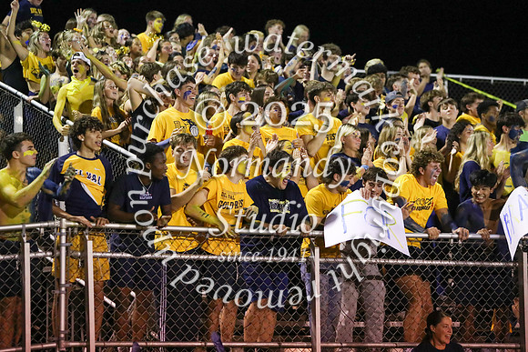 DVH_fans_08