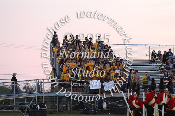 DVH_fans_12