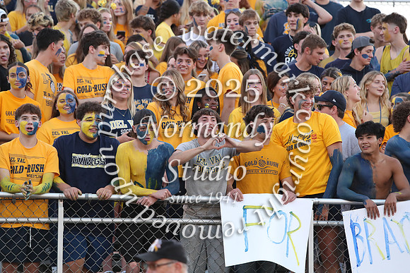 DVH_fans_13