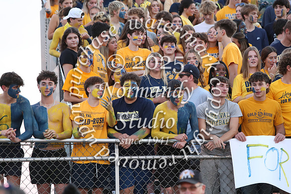 DVH_fans_15