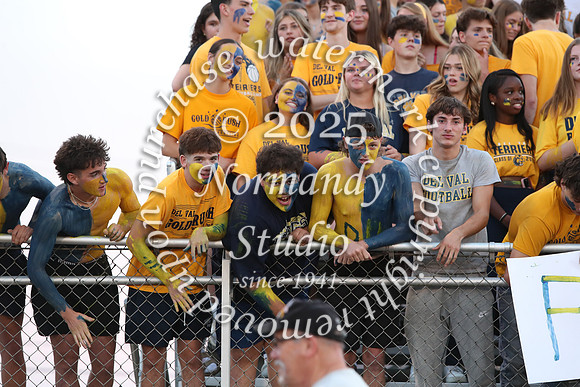 DVH_fans_16