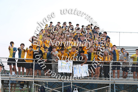 DVH_fans_18