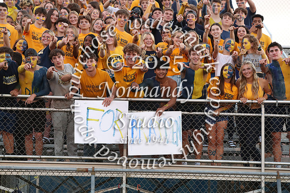 DVH_fans_22