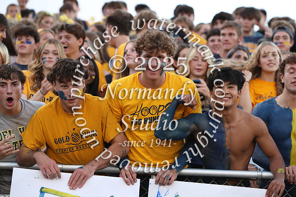 DVH_fans_23