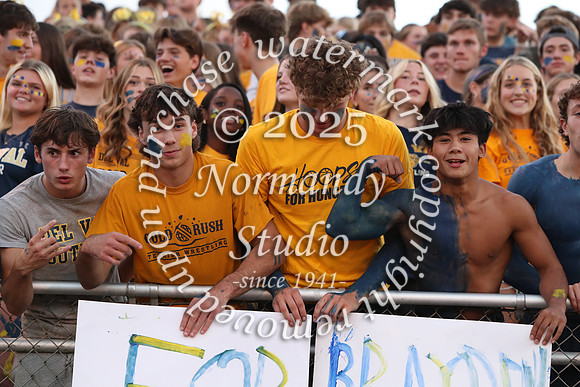DVH_fans_24