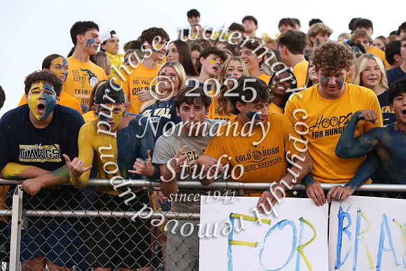 DVH_fans_25