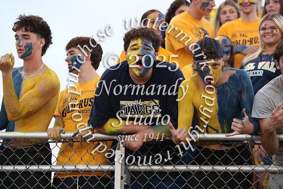 DVH_fans_26