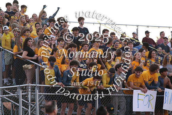 DVH_fans_34