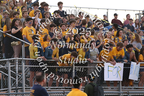 DVH_fans_33