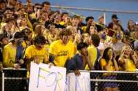 DVH_fans_01
