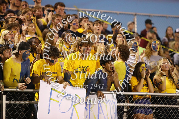 DVH_fans_01