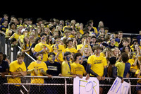 DVH_fans_04