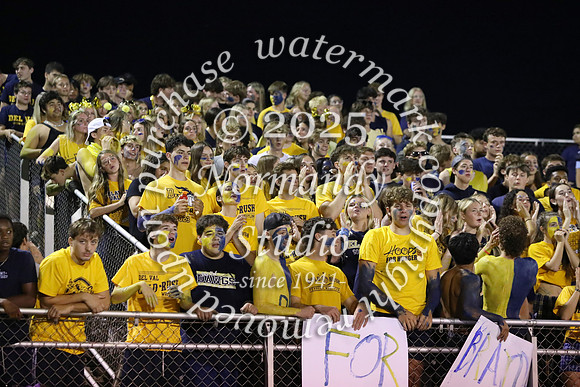 DVH_fans_04