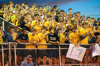DVH_fans_02