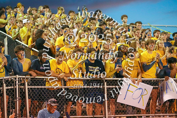 DVH_fans_02