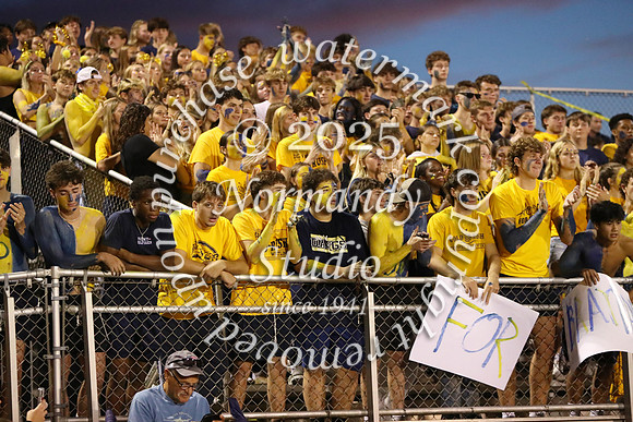 DVH_fans_03