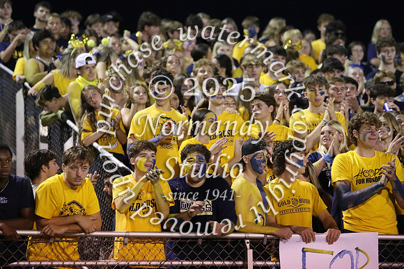 DVH_fans_05