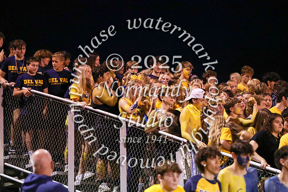 DVH_fans_06