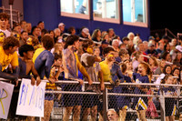 DVH_fans_07